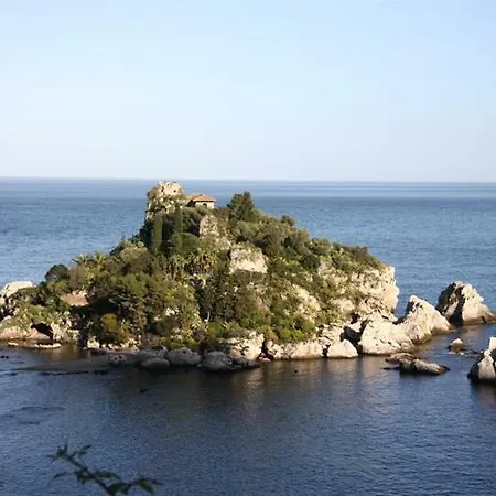 Miosotis Letojanni